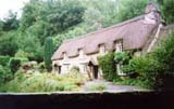 Buckland in the moor